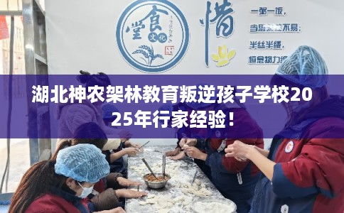 湖北神农架林教育叛逆孩子学校2025年行家经验！