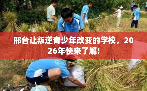 邢台让叛逆青少年改变的学校,2026年快来了解! 邢台让叛逆青少年改变的学校,2026年快来了解!