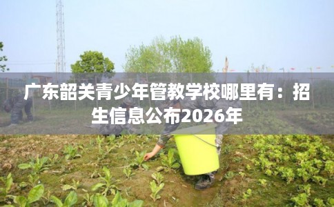 广东韶关青少年管教学校哪里有：招生信息公布2026年