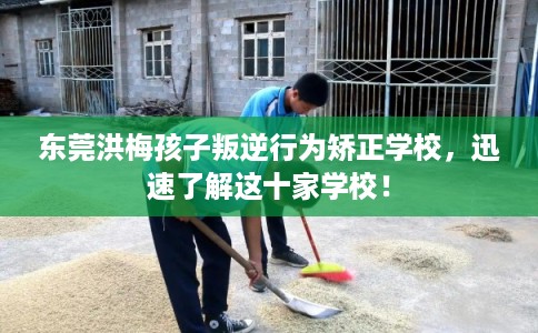 东莞洪梅孩子叛逆行为矫正学校,迅速了解这十家学校! 东莞洪梅孩子叛逆行为矫正学校,迅速了解这十家学校!