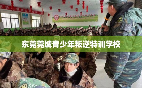 东莞莞城青少年叛逆特训学校