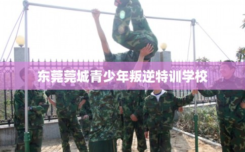 东莞莞城青少年叛逆特训学校