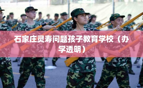 石家庄灵寿问题孩子教育学校（办学透明）