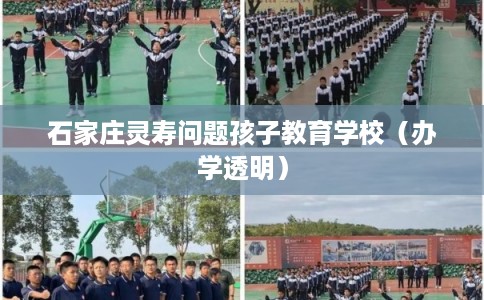 石家庄灵寿问题孩子教育学校（办学透明）