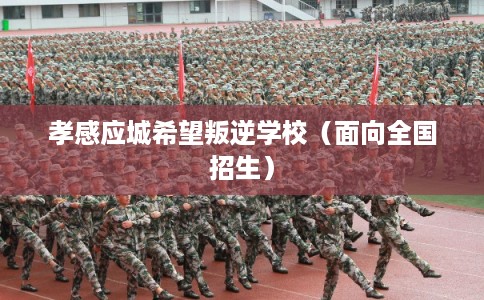 孝感应城希望叛逆学校（面向全国招生）