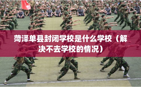 菏泽单县封闭学校是什么学校（解决不去学校的情况）