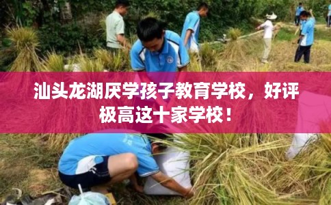 汕头龙湖厌学孩子教育学校，好评极高这十家学校！