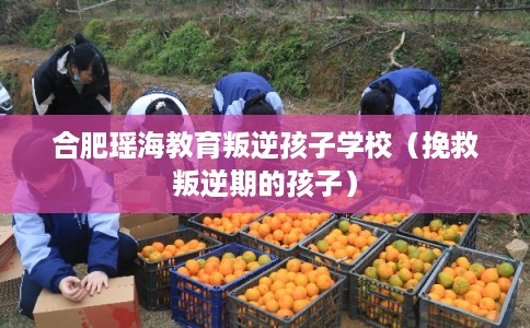 合肥瑶海教育叛逆孩子学校（挽救叛逆期的孩子）