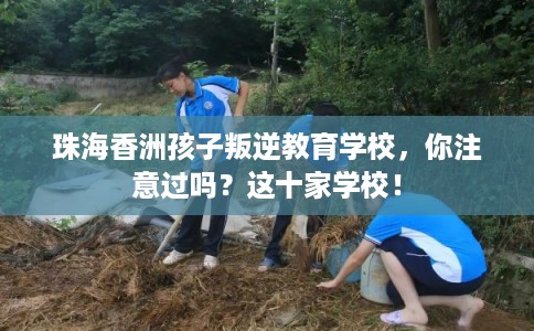 珠海香洲孩子叛逆教育学校,你注意过吗?这十家学校! 珠海香洲孩子叛逆教育学校,你注意过吗?这十家学校!