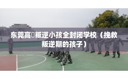 东莞高埗叛逆小孩全封闭学校(挽救叛逆期的孩子) 东莞高埗叛逆小孩全封闭学校(挽救叛逆期的孩子)