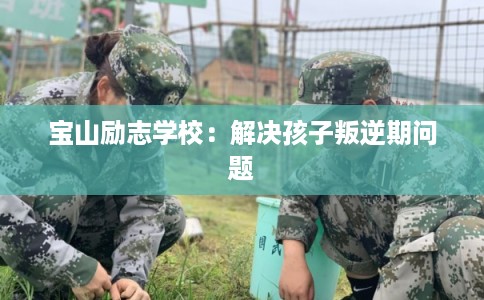 宝山励志学校：解决孩子叛逆期问题