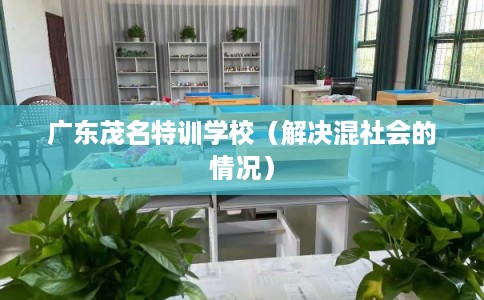 广东茂名特训学校（解决混社会的情况）