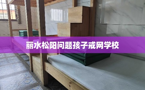 丽水松阳问题孩子戒网学校
