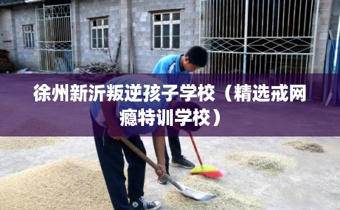 徐州新沂叛逆孩子学校（精选戒网瘾特训学校）