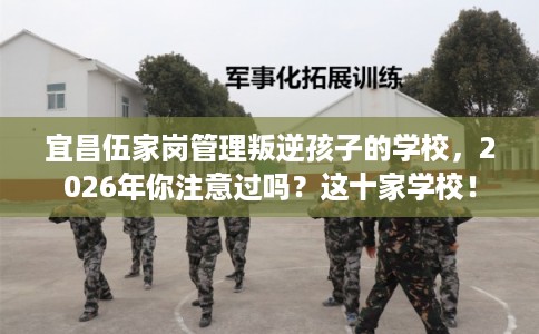 宜昌伍家岗管理叛逆孩子的学校，2026年你注意过吗？这十家学校！