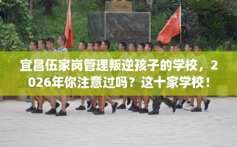 宜昌伍家岗管理叛逆孩子的学校，2026年你注意过吗？这十家学校！