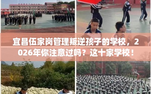 宜昌伍家岗管理叛逆孩子的学校，2026年你注意过吗？这十家学校！