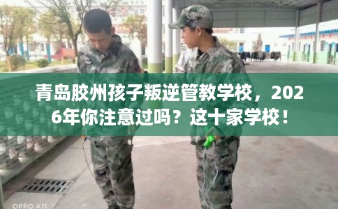 青岛胶州孩子叛逆管教学校，2026年你注意过吗？这十家学校！