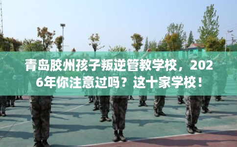 青岛胶州孩子叛逆管教学校，2026年你注意过吗？这十家学校！