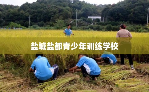 盐城盐都青少年训练学校