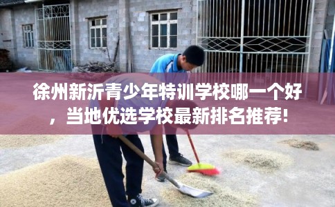 徐州新沂青少年特训学校哪一个好，当地优选学校最新排名推荐!