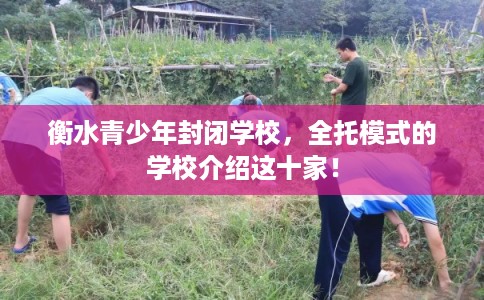 衡水青少年封闭学校，全托模式的学校介绍这十家！