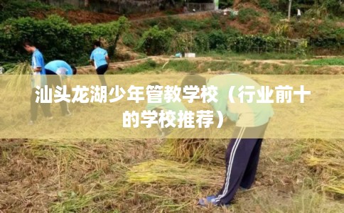 汕头龙湖少年管教学校（行业前十的学校推荐）