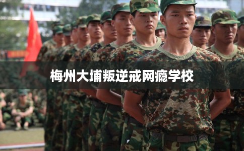 梅州大埔叛逆戒网瘾学校