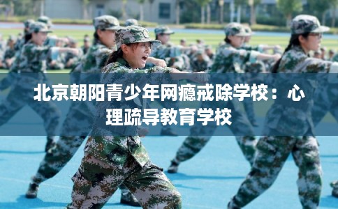 北京朝阳青少年网瘾戒除学校：心理疏导教育学校