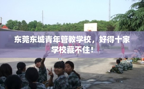 东莞东城青年管教学校，好得十家学校藏不住！