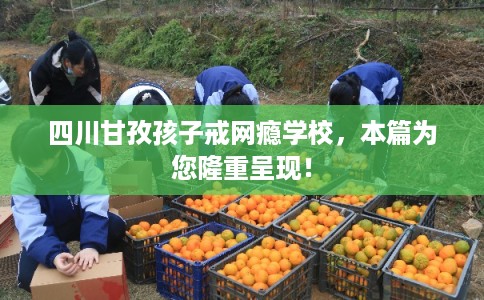 四川甘孜孩子戒网瘾学校，本篇为您隆重呈现！