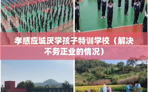 孝感应城厌学孩子特训学校（解决不务正业的情况）