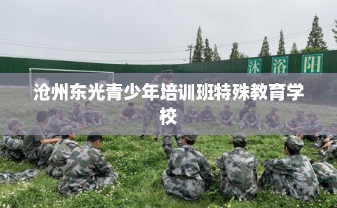 沧州东光青少年培训班特殊教育学校