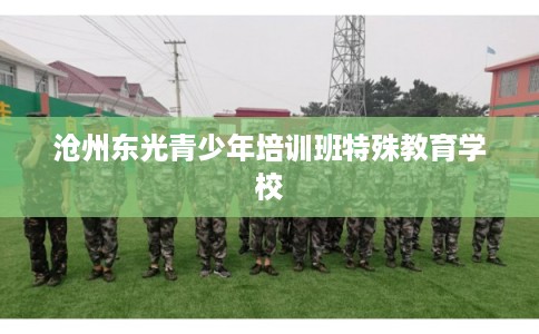 沧州东光青少年培训班特殊教育学校