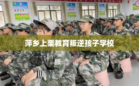 萍乡上栗教育叛逆孩子学校