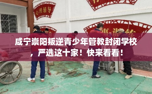 咸宁崇阳叛逆青少年管教封闭学校，严选这十家！快来看看！