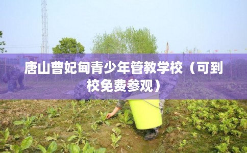 唐山曹妃甸青少年管教学校（可到校免费参观）