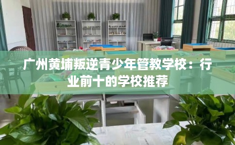 广州黄埔叛逆青少年管教学校：行业前十的学校推荐