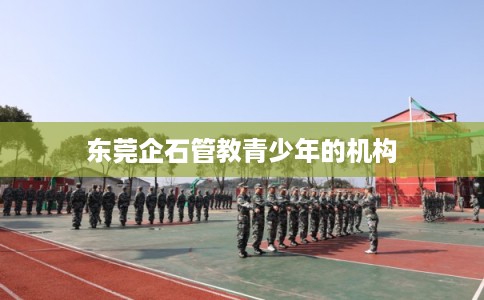 东莞企石管教青少年的机构 东莞企石管教青少年的机构