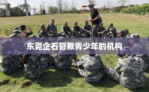 东莞企石管教青少年的机构