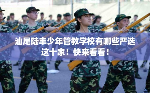 汕尾陆丰少年管教学校有哪些严选这十家！快来看看！