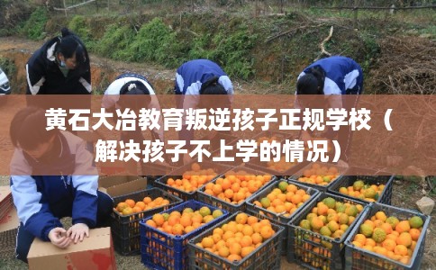 黄石大冶教育叛逆孩子正规学校（解决孩子不上学的情况）