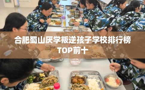 合肥蜀山厌学叛逆孩子学校排行榜TOP前十