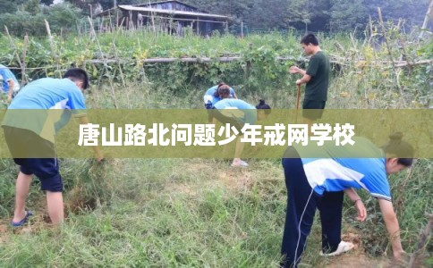 唐山路北问题少年戒网学校