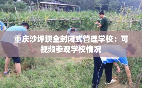 重庆沙坪坝全封闭式管理学校：可视频参观学校情况