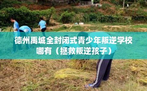 德州禹城全封闭式青少年叛逆学校哪有（拯救叛逆孩子）