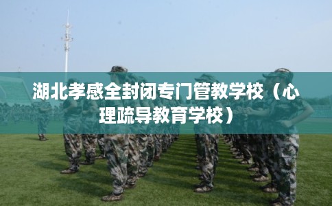 湖北孝感全封闭专门管教学校(心理疏导教育学校) 湖北孝感全封闭专门管教学校(心理疏导教育学校)