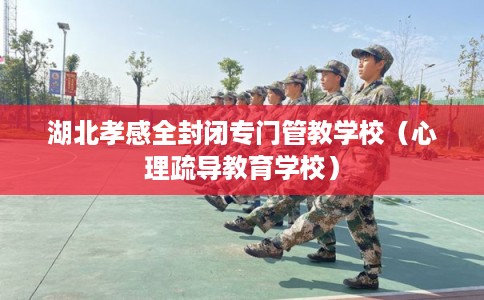 湖北孝感全封闭专门管教学校（心理疏导教育学校）