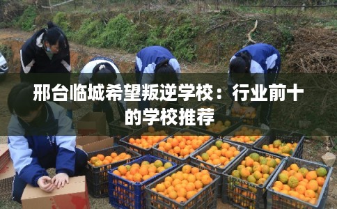 邢台临城希望叛逆学校：行业前十的学校推荐