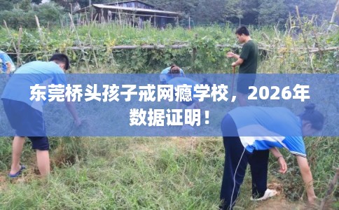东莞桥头孩子戒网瘾学校,2026年数据证明! 东莞桥头孩子戒网瘾学校,2026年数据证明!